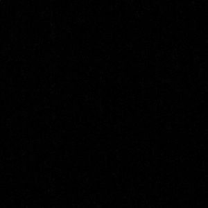 Meet your Posher, Walter